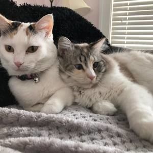 Meet your Posher, Cheryl